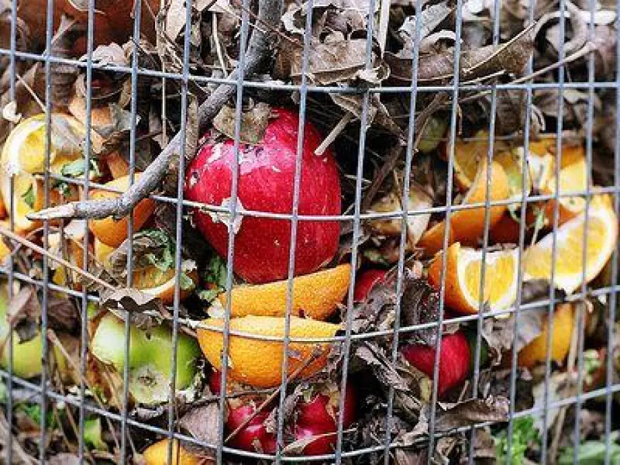 Giornata Nazionale dell’Alimentazione alla FAO. Non sprecare cibo è imperativo