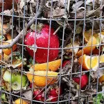 Giornata Nazionale dell’Alimentazione alla FAO. Non sprecare cibo è imperativo